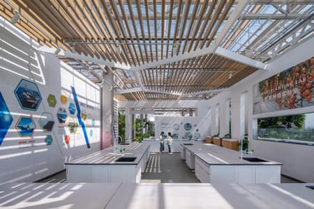 Vertical Farm Hengshui